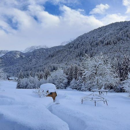 Maso Pin Bed & Breakfast Madonna di Campiglio Ngoại thất bức ảnh