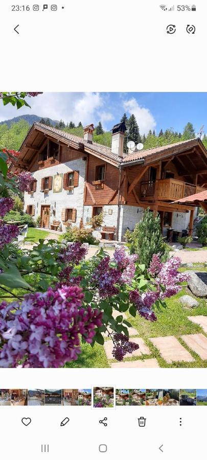 Maso Pin Bed & Breakfast Madonna di Campiglio Ngoại thất bức ảnh