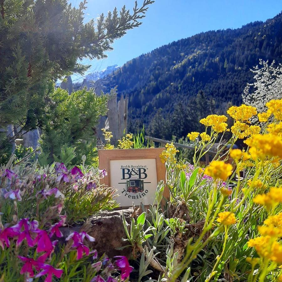 Maso Pin Bed & Breakfast Madonna di Campiglio Ngoại thất bức ảnh