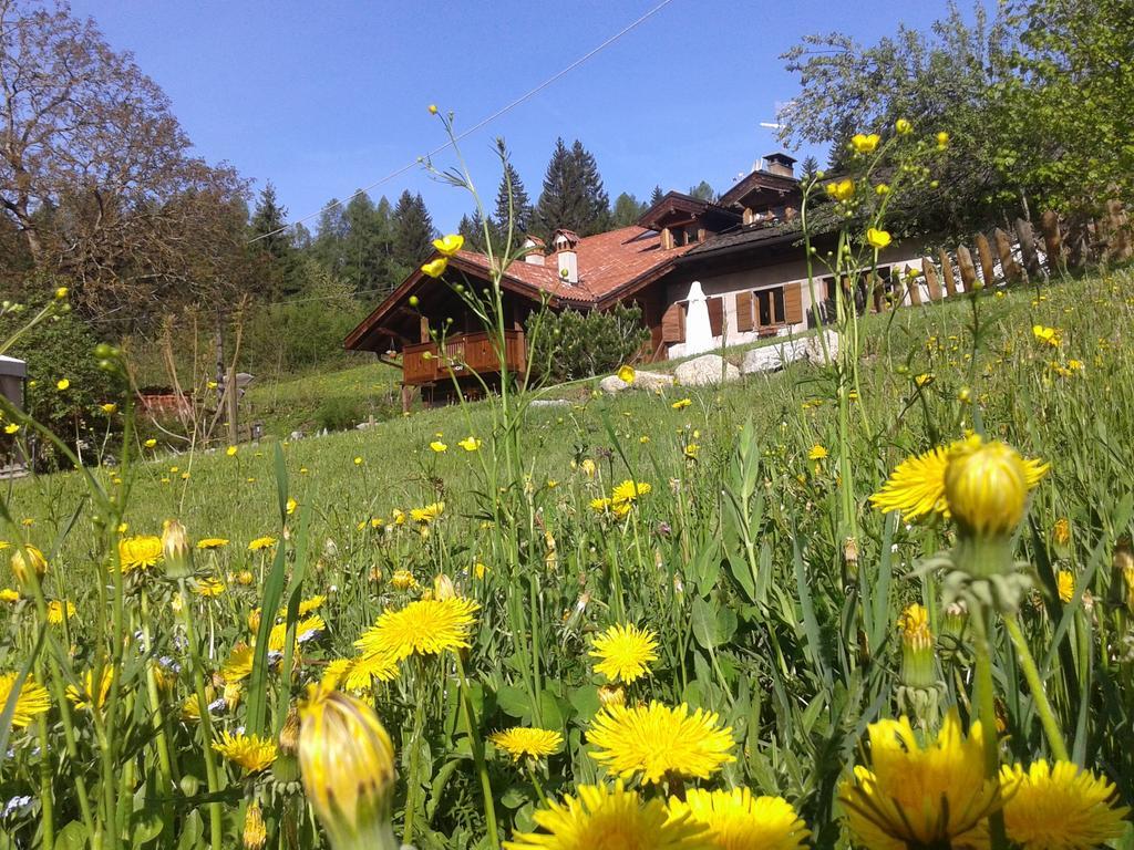 Maso Pin Bed & Breakfast Madonna di Campiglio Ngoại thất bức ảnh