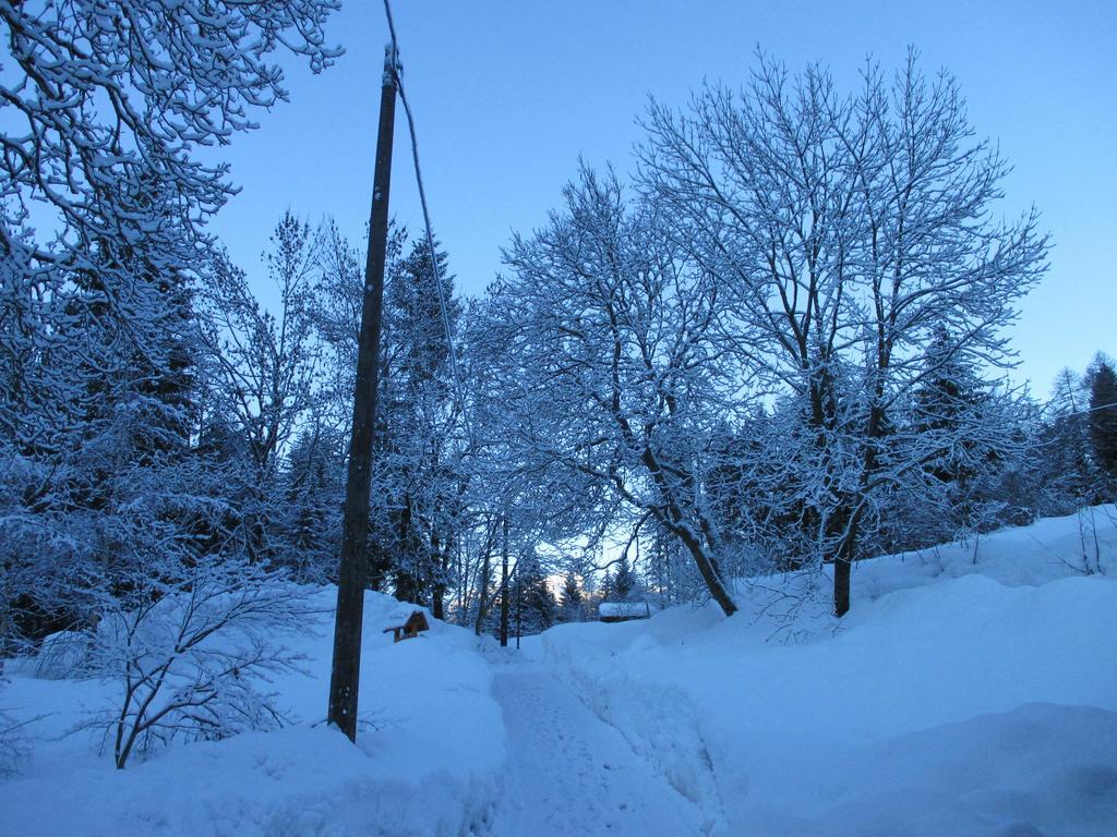 Maso Pin Bed & Breakfast Madonna di Campiglio Ngoại thất bức ảnh