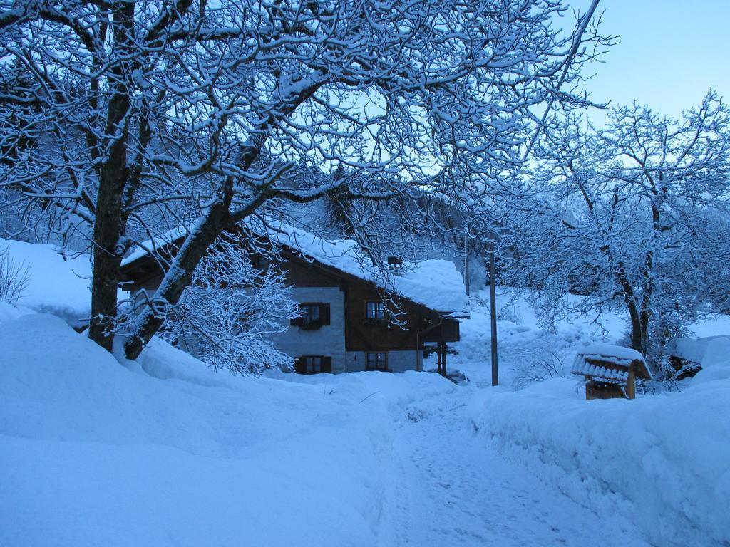 Maso Pin Bed & Breakfast Madonna di Campiglio Ngoại thất bức ảnh