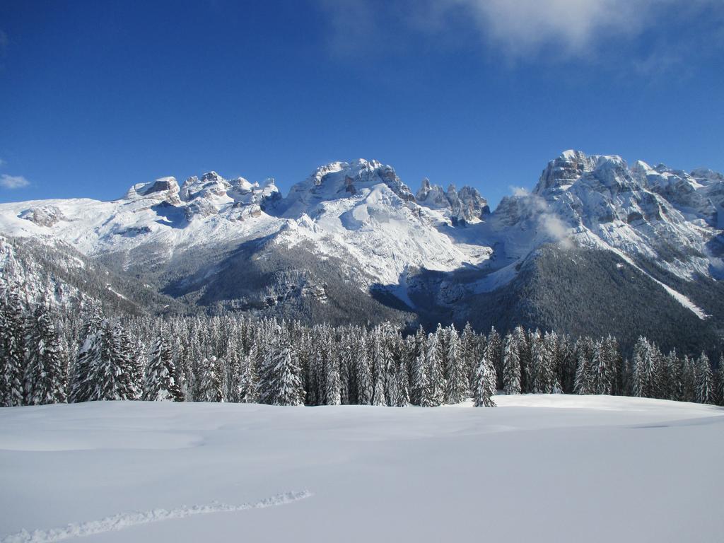 Maso Pin Bed & Breakfast Madonna di Campiglio Ngoại thất bức ảnh
