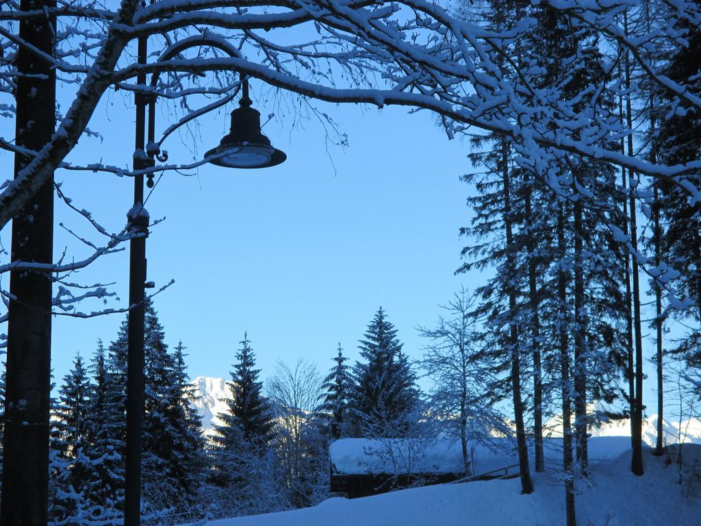 Maso Pin Bed & Breakfast Madonna di Campiglio Ngoại thất bức ảnh