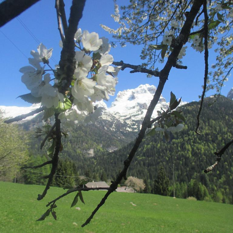 Maso Pin Bed & Breakfast Madonna di Campiglio Ngoại thất bức ảnh