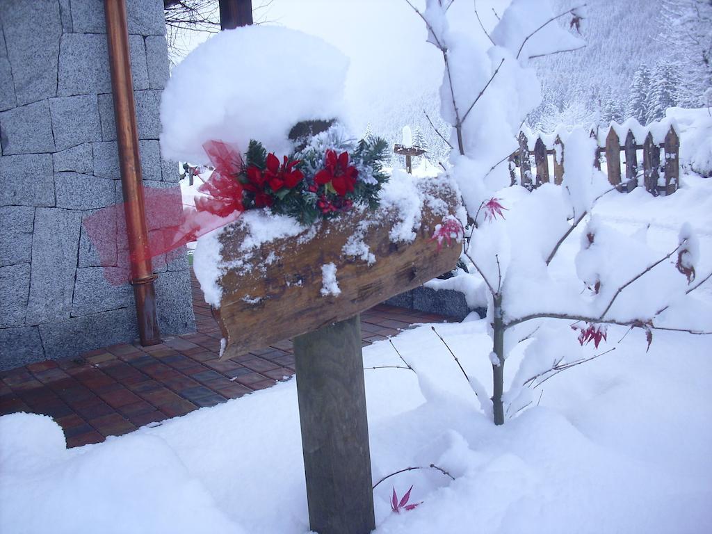 Maso Pin Bed & Breakfast Madonna di Campiglio Ngoại thất bức ảnh