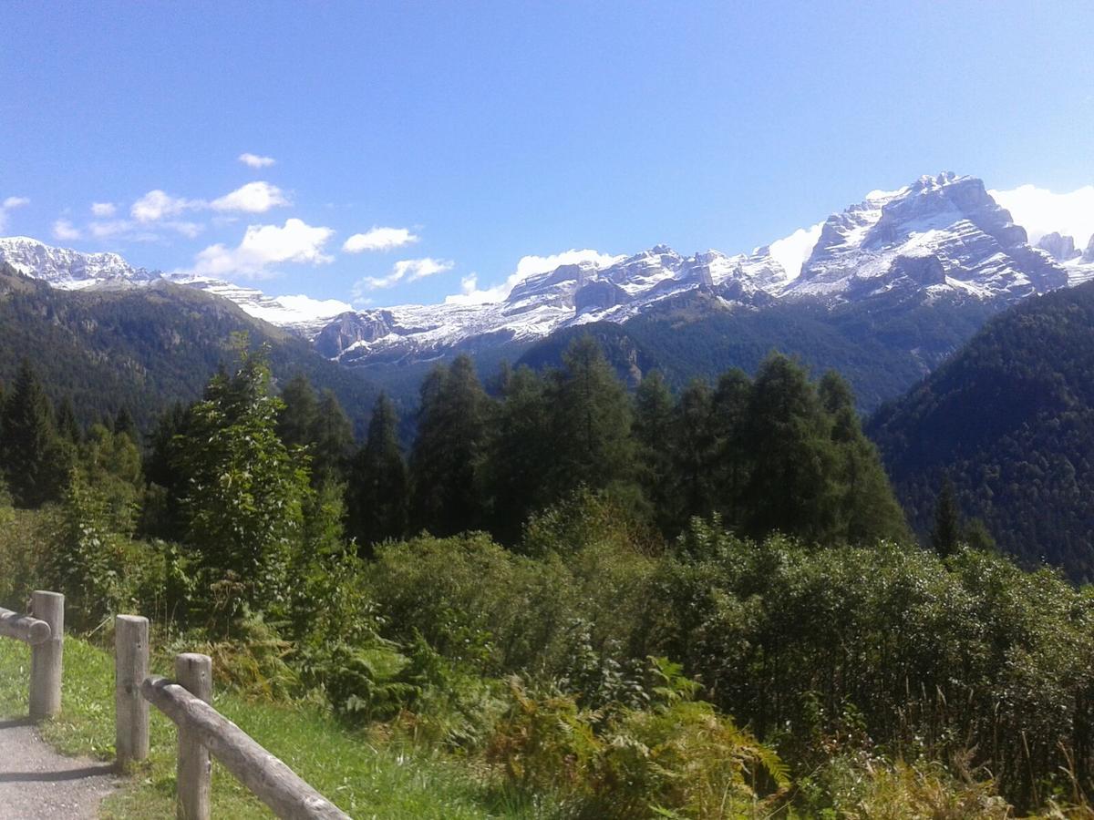 Maso Pin Bed & Breakfast Madonna di Campiglio Ngoại thất bức ảnh